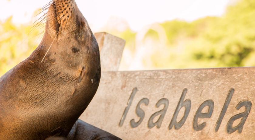 Chez Manany Galapagos Ecolodge photo