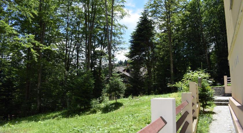Alpin Residence photo