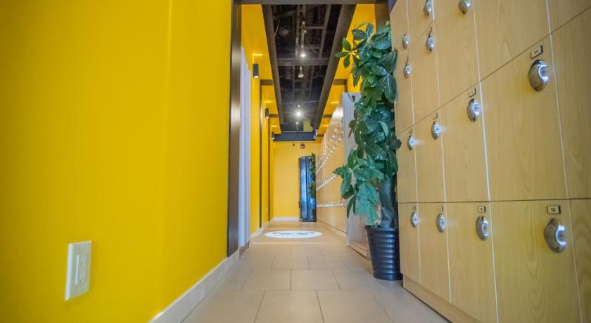 Panda Pod Hotel photo