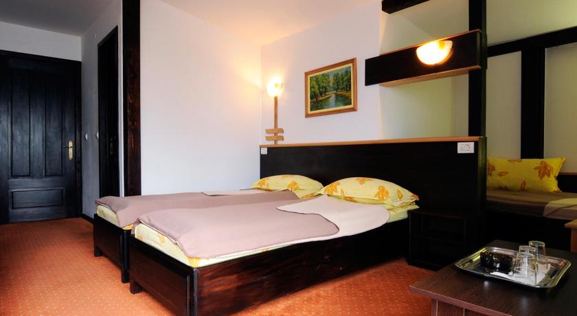 Pensiunea Delta Dunarii — Hotel in Tulcea