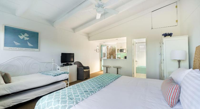 Driftwood Resort on the Ocean photo