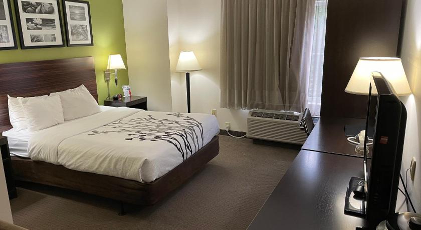 Image of 1 Queen Bed, Nonsmoking, Accessible 0
