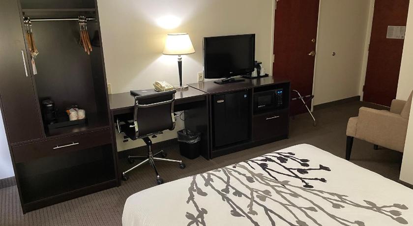 Image of 1 Queen Bed, Nonsmoking, Accessible 3