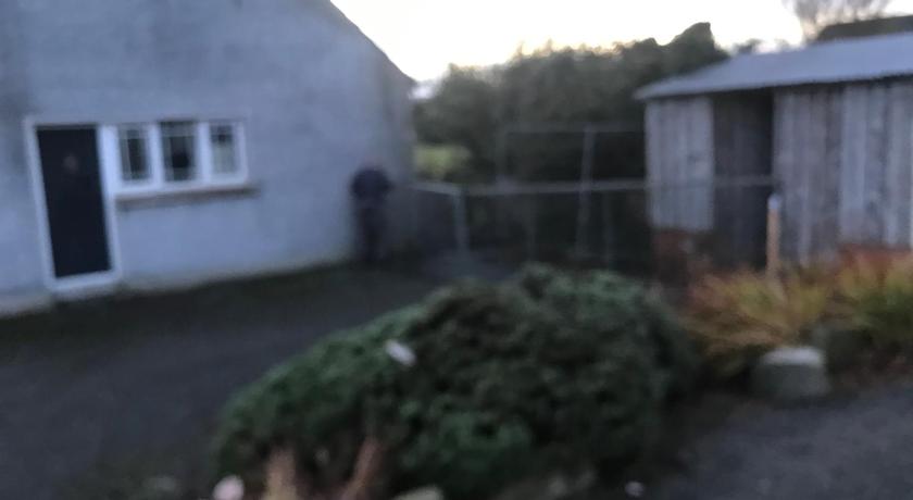 Ballyginny Cottage - image 7