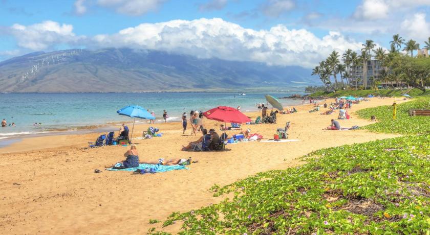 Maui Banyan photo
