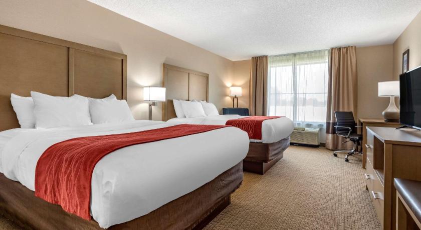 Comfort Inn & Suites Farmington - Victor