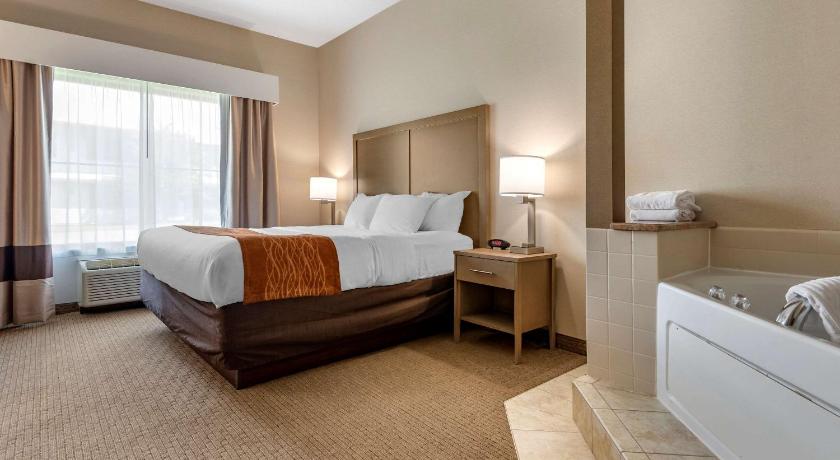 Comfort Inn & Suites Farmington - Victor