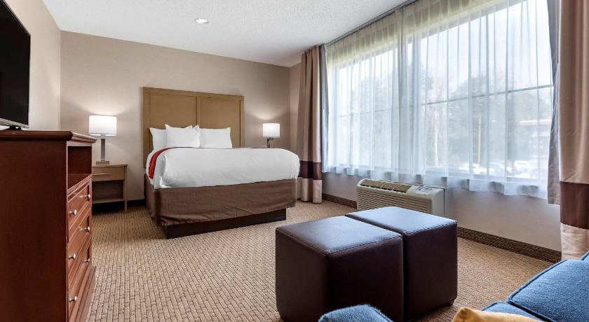 Comfort Inn & Suites Farmington - Victor