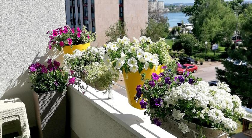Serbona apartment photo