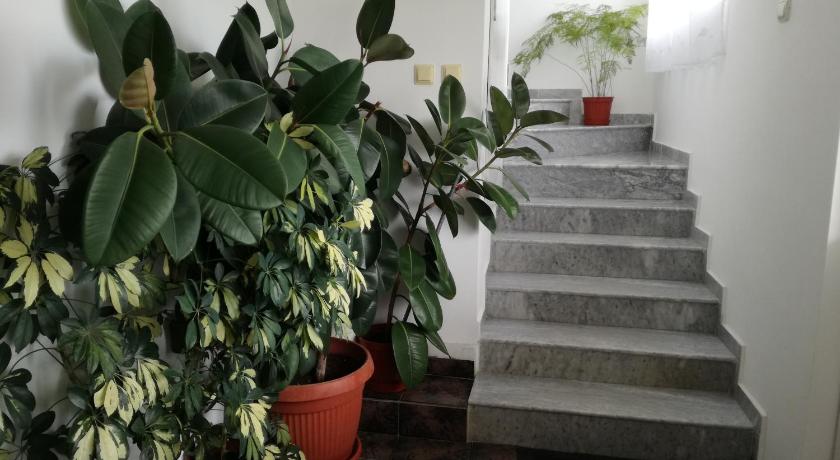 Tzonevi Guest House photo