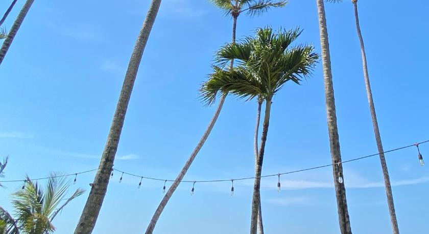 El Mosquito Boutique Hotel Playa Bonita — Hotel in Las Terrenas