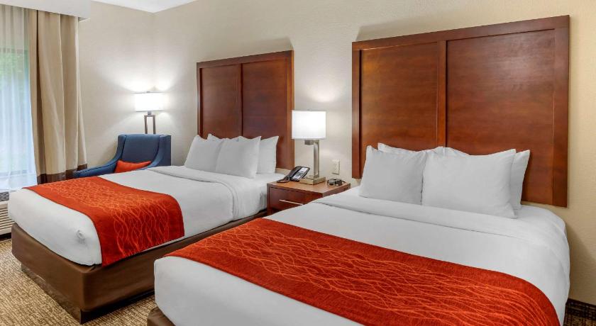 Comfort Inn & Suites photo
