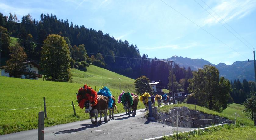 Scherntreinerhof photo