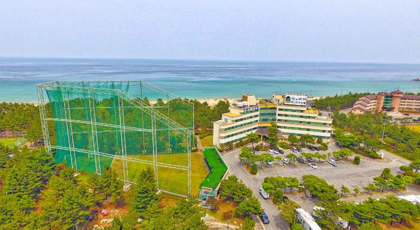 Benikea Hotel Mountain & Ocean Jumunjin Resorts photo