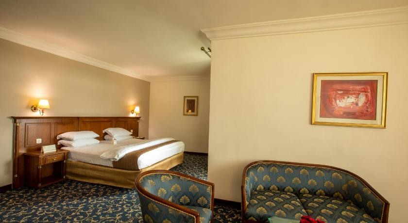 صورة جناح تنفيذي غرفة وصالة (Executive Suite) 13