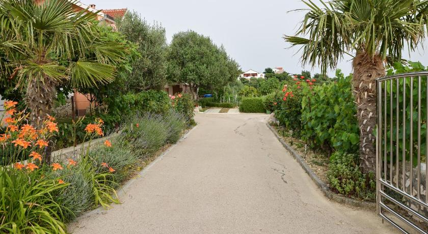 Apartman Olive 01 photo