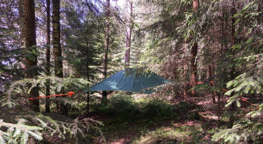 Baumzelt im Wald