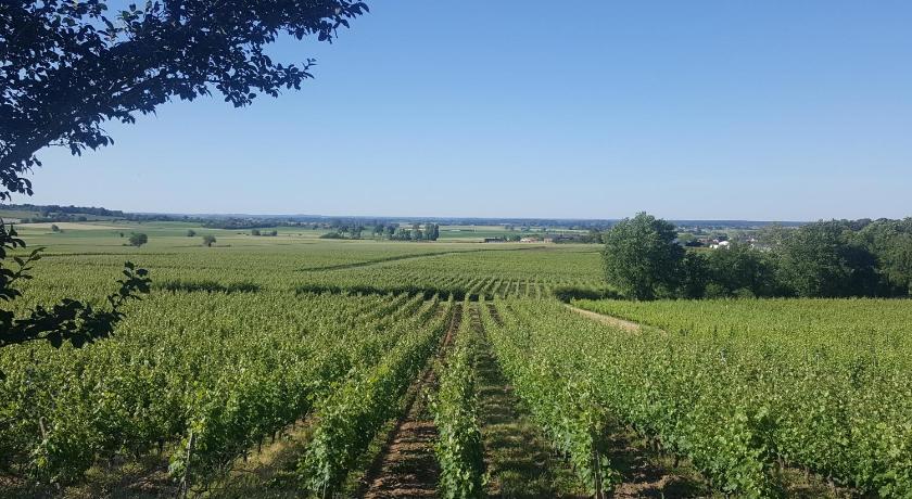 Au creux des vignes photo