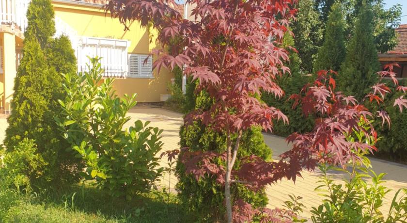 Golden House Apartments photo