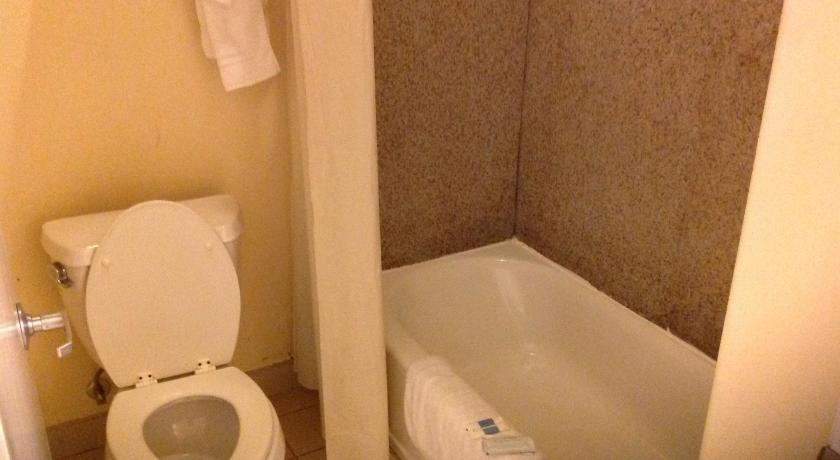 Executive Inn & Suites photo