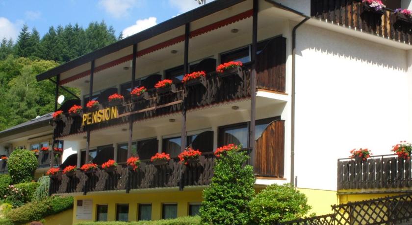 Pension Williams — Hotel in Seebach