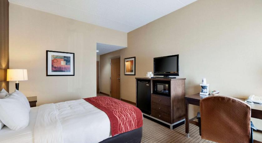 Quality Inn and Suites Bel Air I-95 Exit 77A