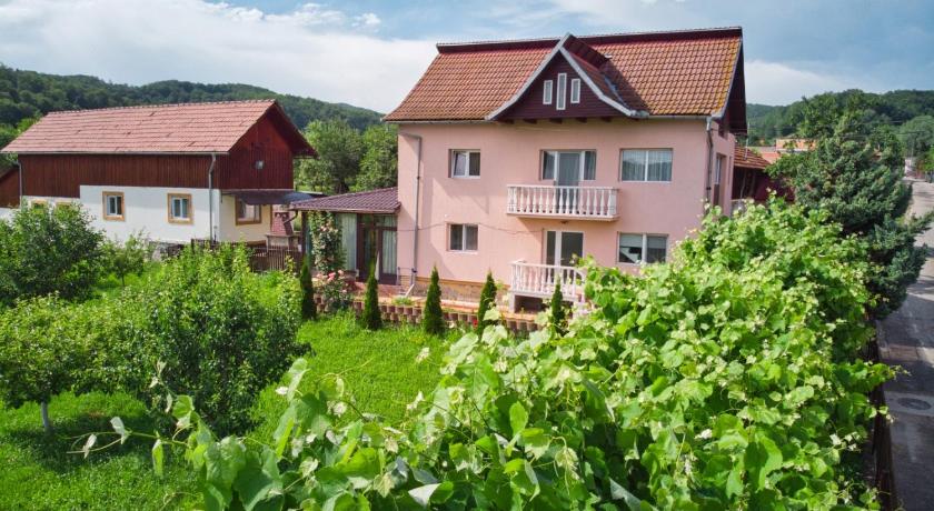 Vila Teo — Hotel in Bărăşti