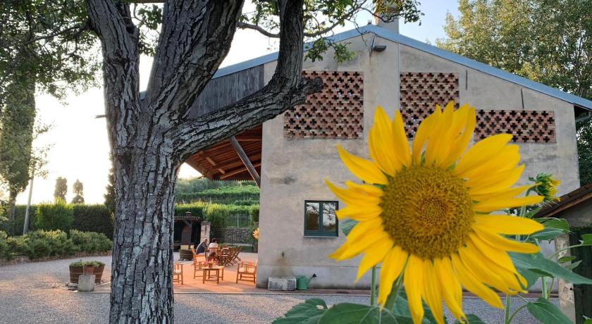 Domus Cariana photo