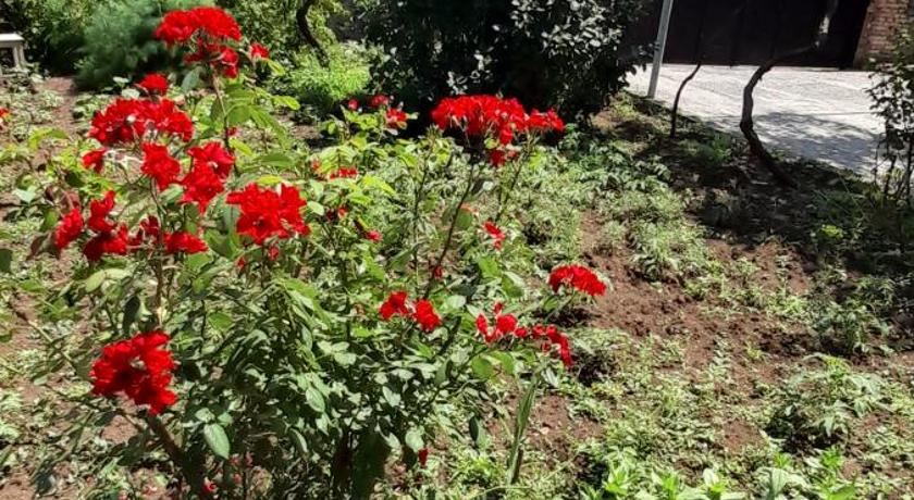 Borjomi Home — Hotel in Borjomi