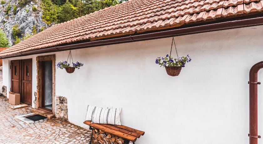 Pension Fialka photo