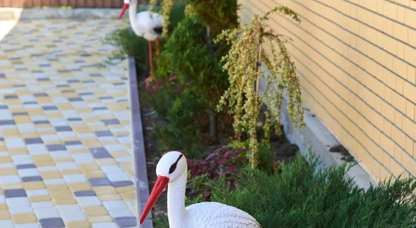 Guesthouse Aliar photo