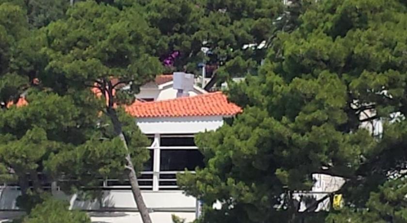Villa Bose- Apartmani Luka Sodan — Hotel in Donja Brela