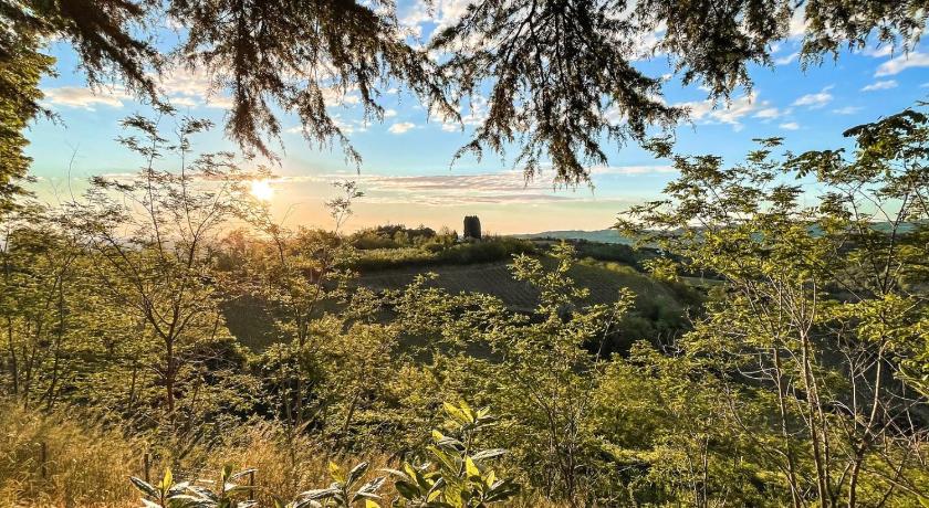 Bed &amp; Breakfast Montesterlino — Hotel in Bertinoro
