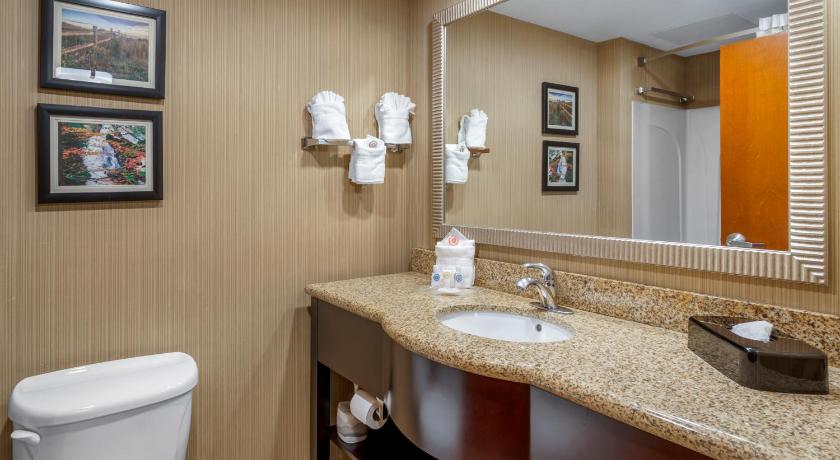 Comfort Suites North Knoxville