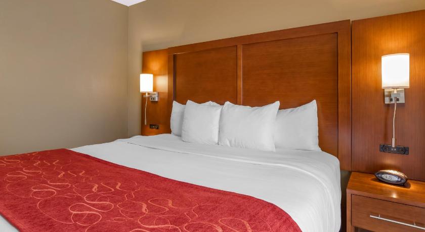 Comfort Suites North Knoxville