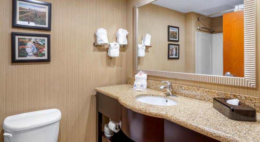 Comfort Suites North Knoxville