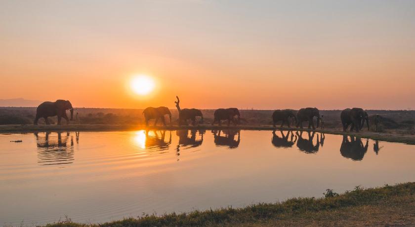 Jabulani Safari