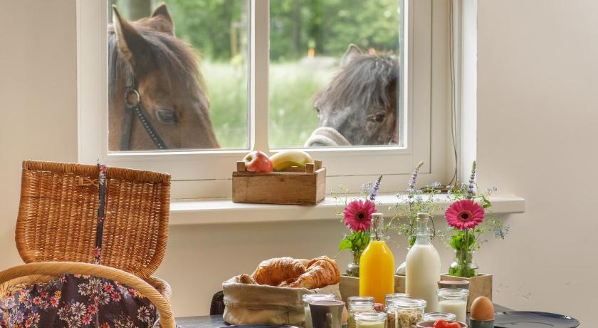 アーネム De Slaaperij 4つ星 ゲストハウス スイート