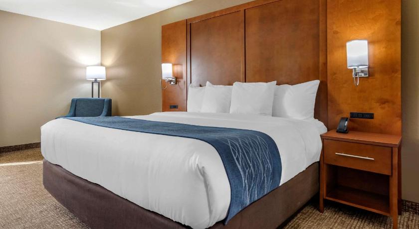 Comfort Inn Birmingham - Irondale