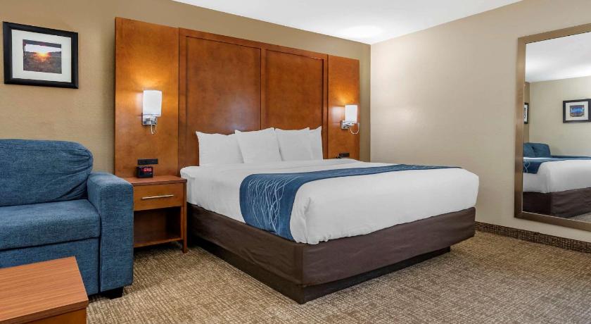 Comfort Inn Birmingham - Irondale