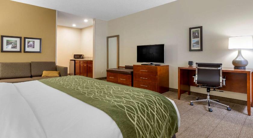 Comfort Inn & Suites Lenoir Hwy 321 Northern Foothills