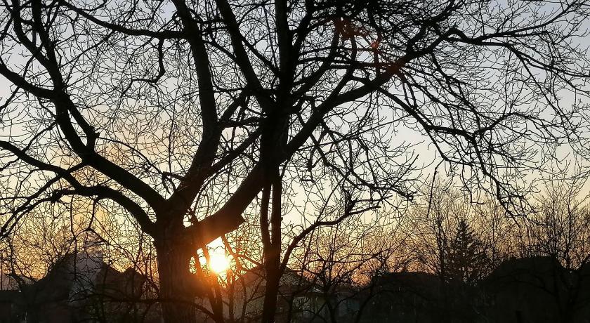 베오그라드 VisitorsCenter Ivanovo 2성급 싱글룸 객실