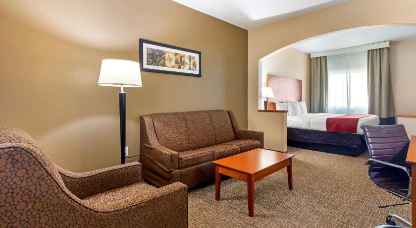 Comfort Suites North Dallas