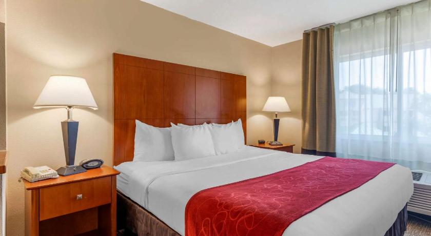 Comfort Suites North Dallas