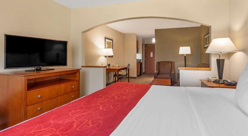 Comfort Suites North Dallas