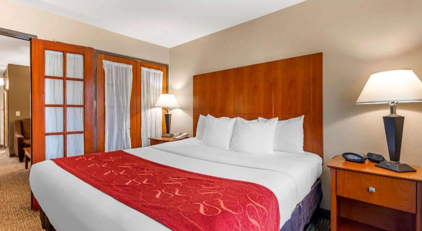 Comfort Suites North Dallas