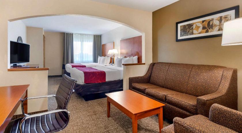 Comfort Suites North Dallas