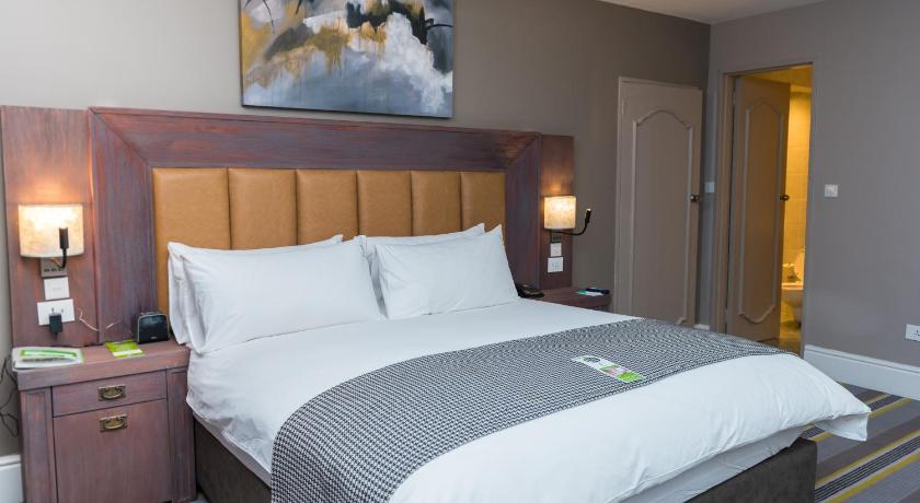 Image of 1 King Suite Mountain View 11