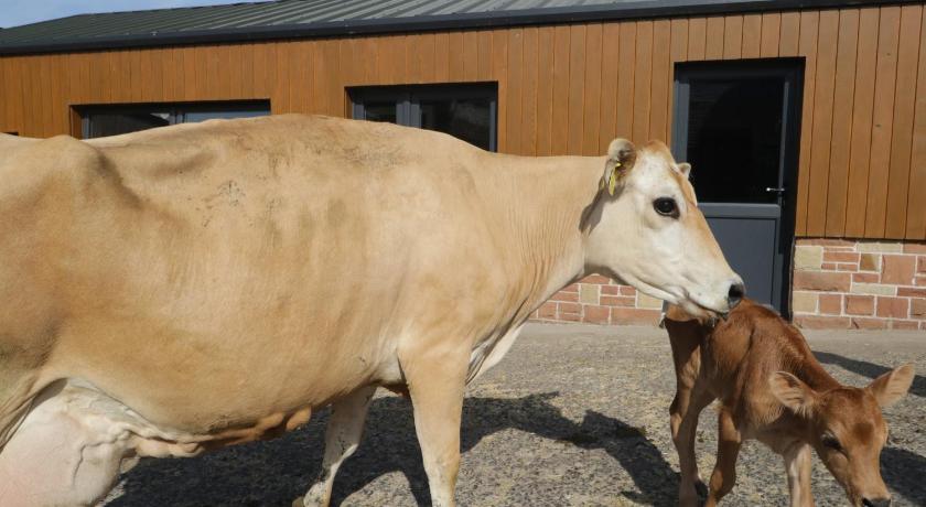 溫布萊 Carrock Cottage 3星级 单人房 客房