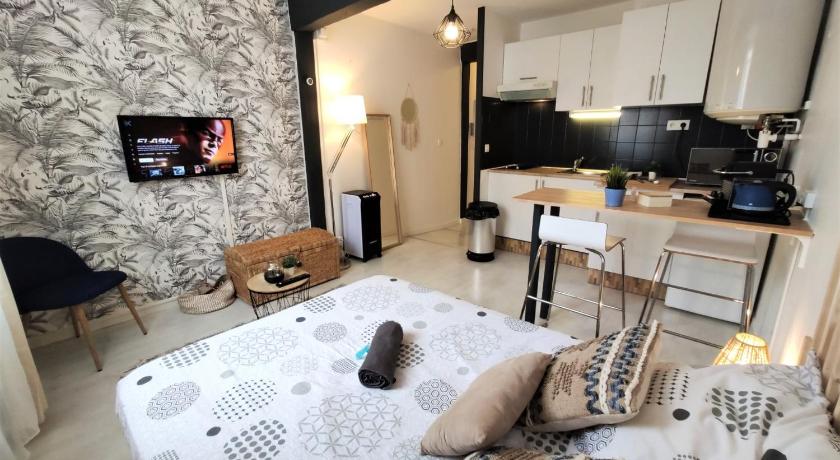 Le Jasmin des Carmes - Hypercentre - Netflix — Hotel in Toulouse